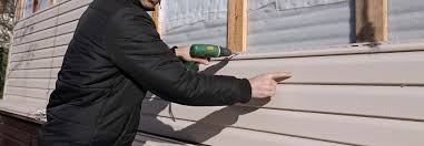 Best Custom Trim and Detailing for Siding  in Blue Earth, MN